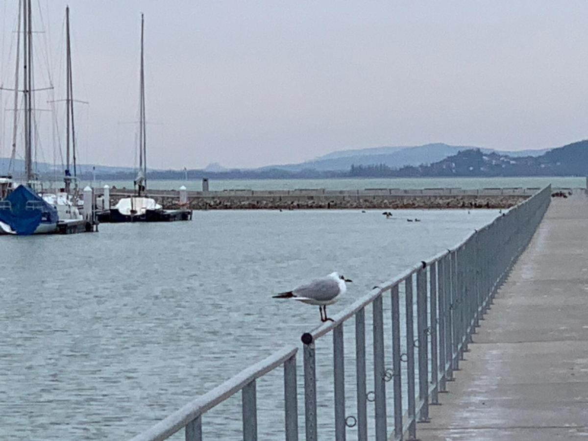 Topart I * Balatonfenyves