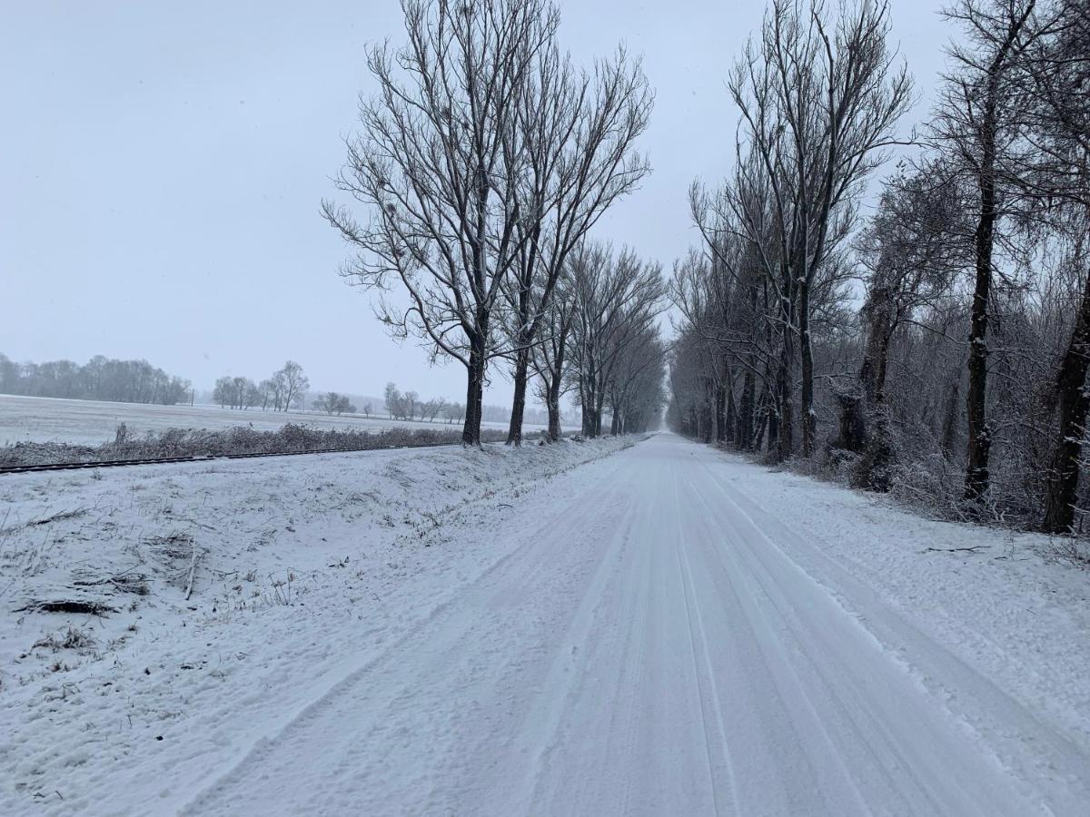 Topart I * Balatonfenyves