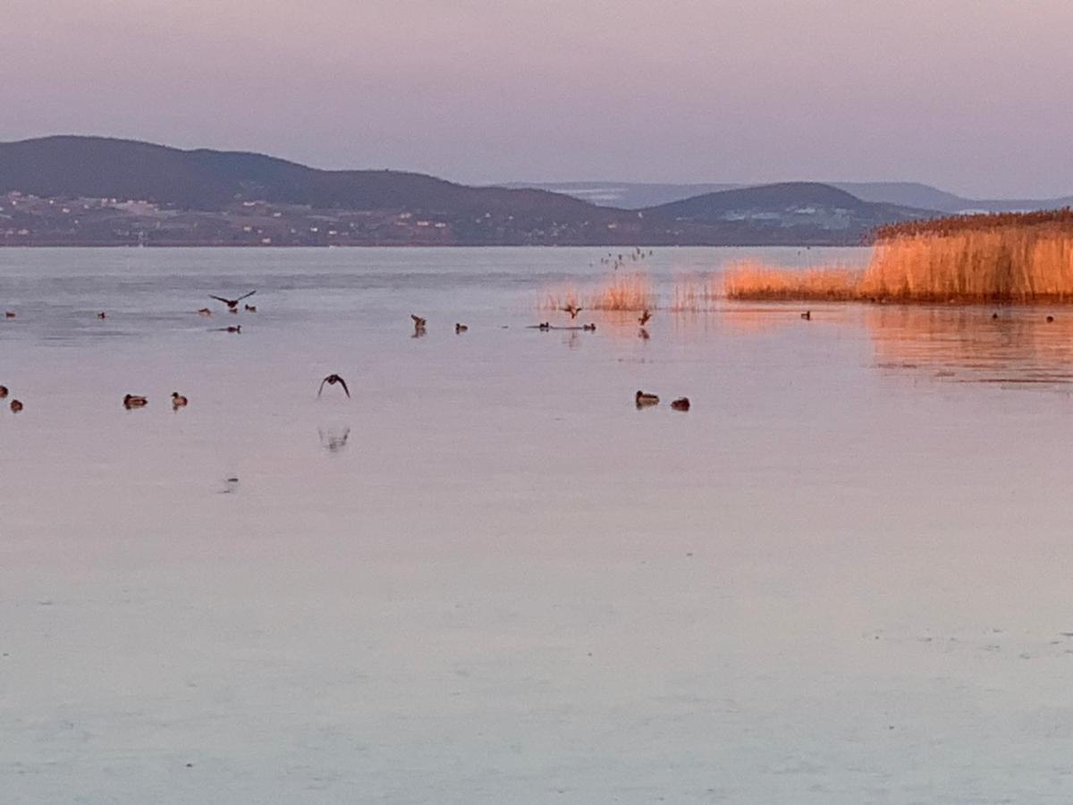 Apartmán Topart I Balatonfenyves