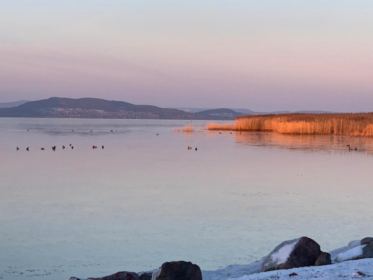 Topart I Balatonfenyves